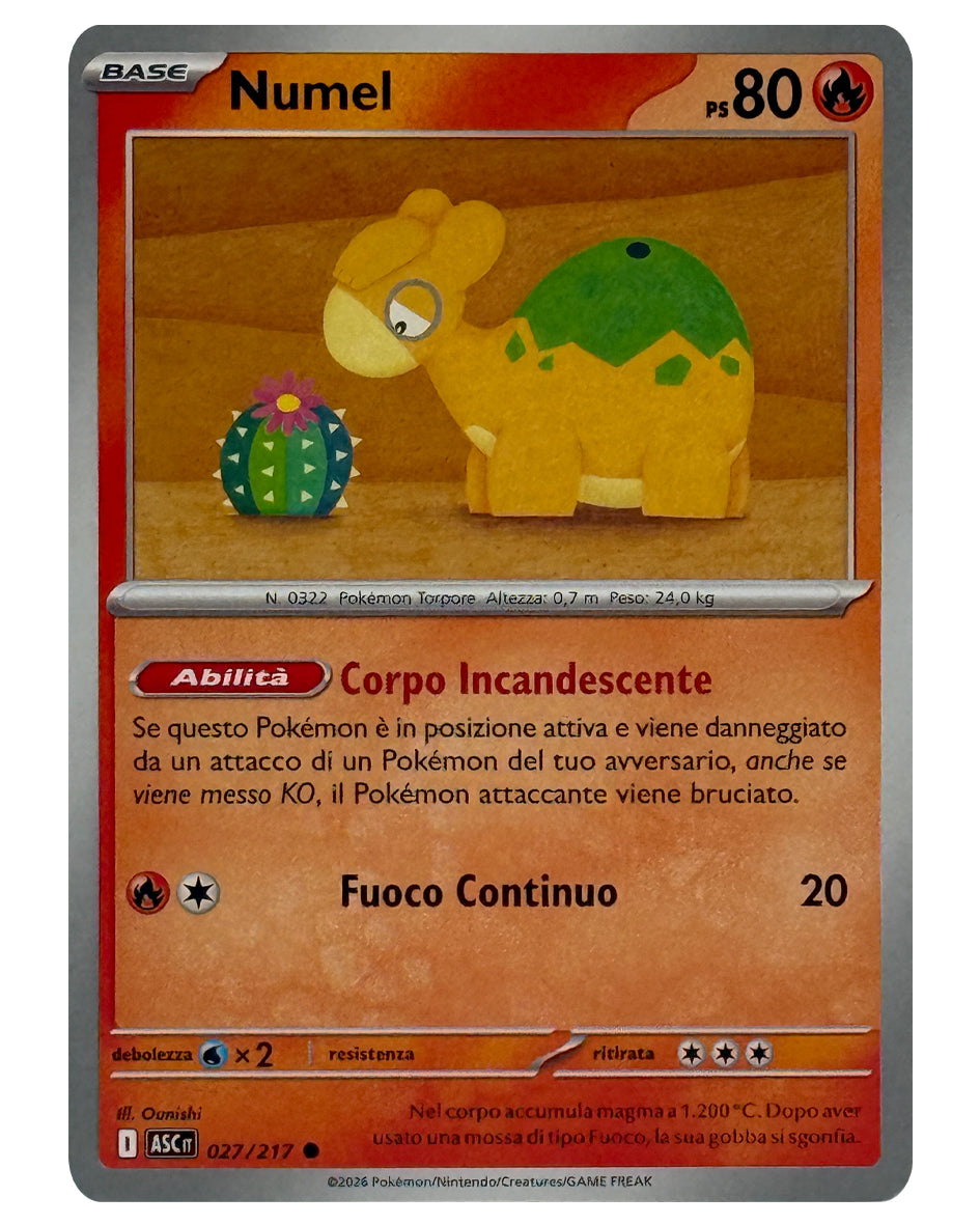 027-217 ASC Numel 