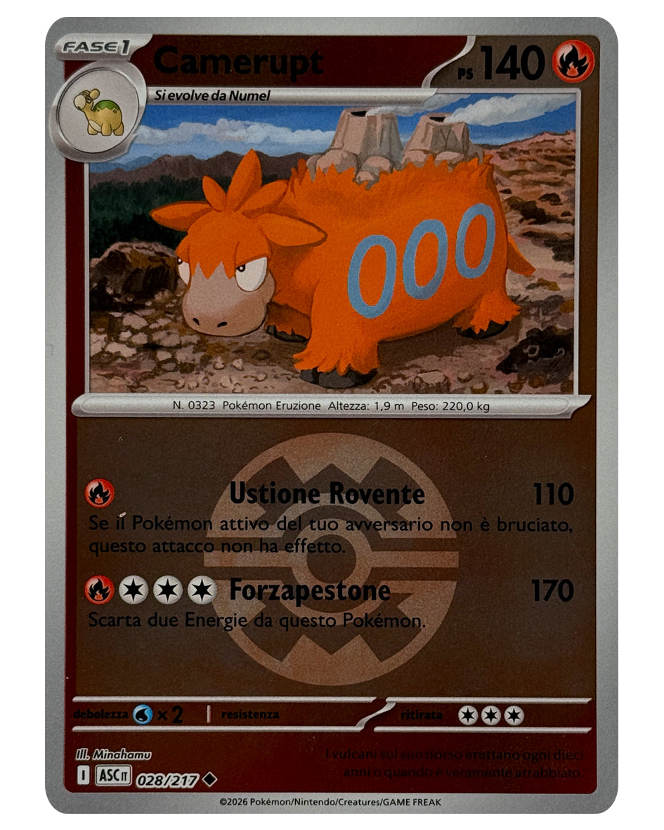 028-217 ASC Camerupt