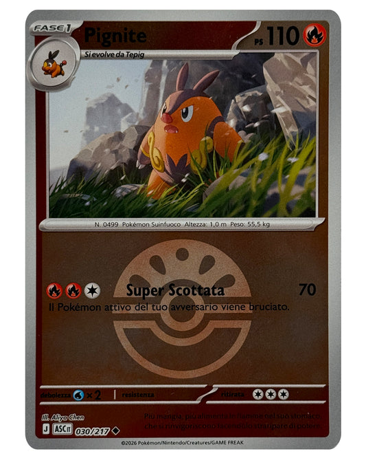 030-217 ASC Pignite
