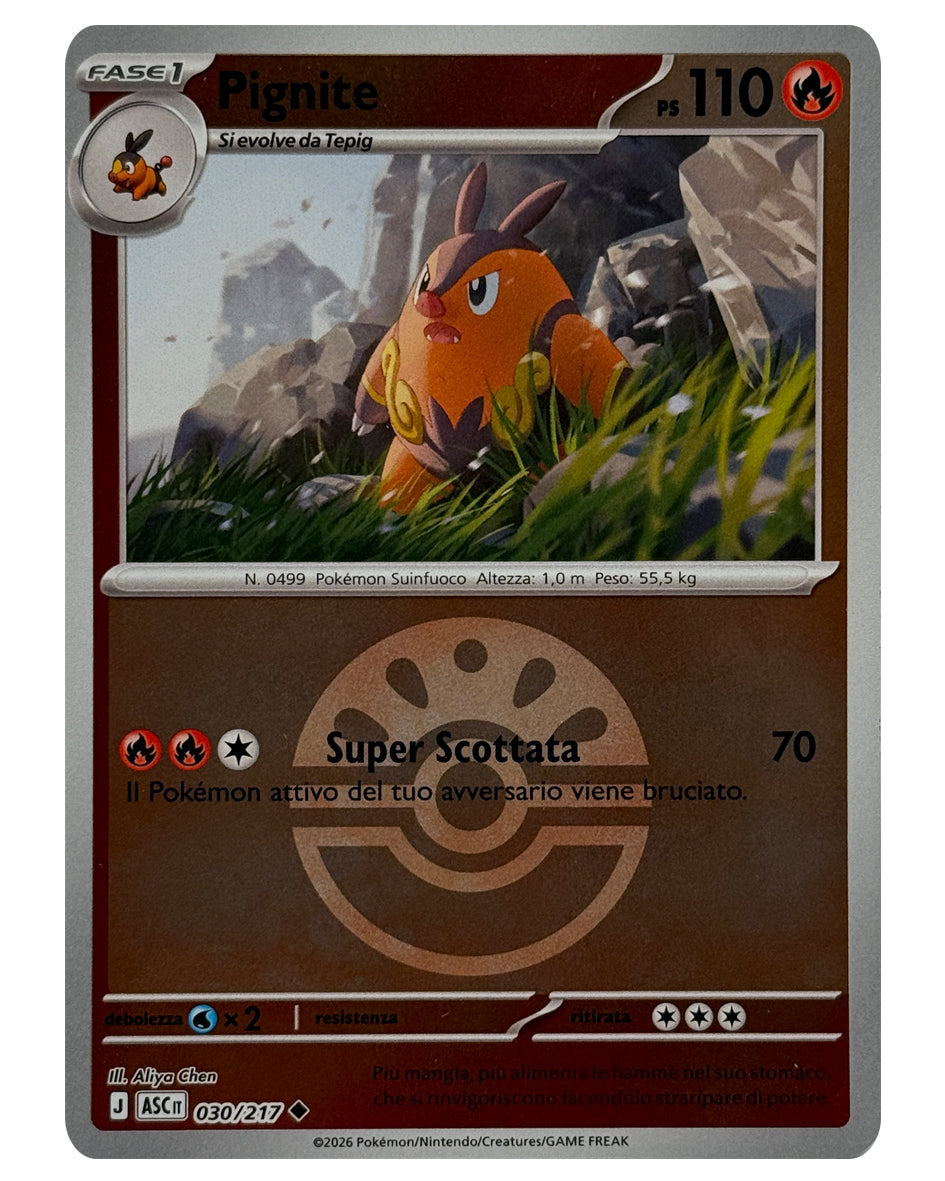 030-217 ASC Pignite