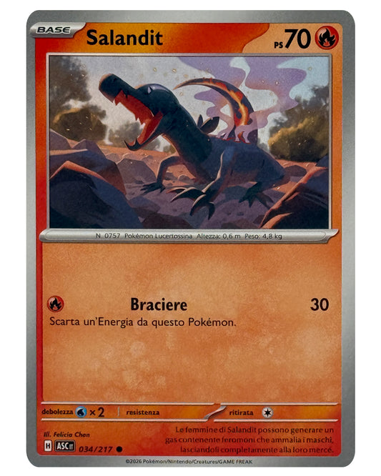034-217 ASC Salandit