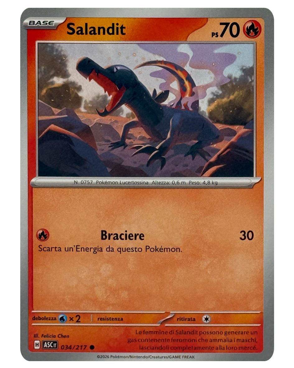 034-217 ASC Salandit