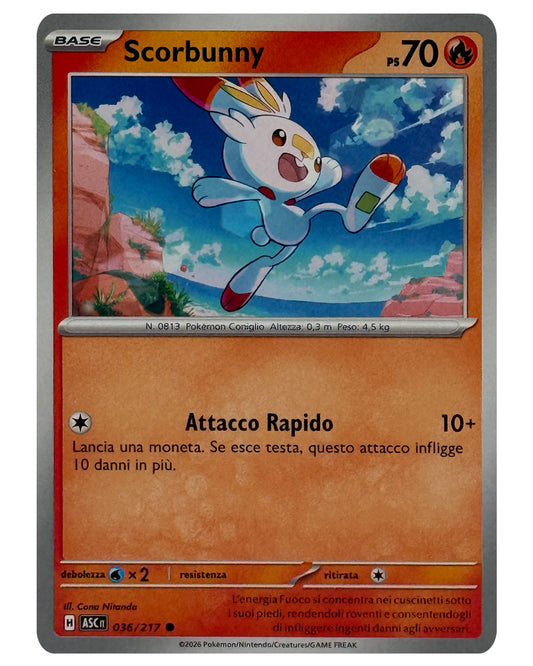 036-217 ASC Scorbunny