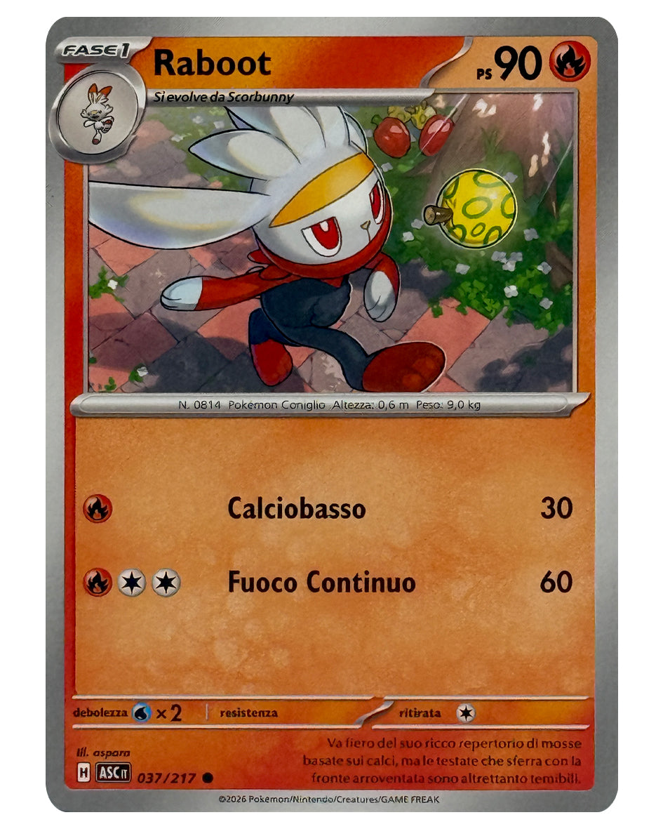 037-217 ASC Raboot
