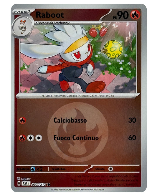 037-217 ASC Raboot 