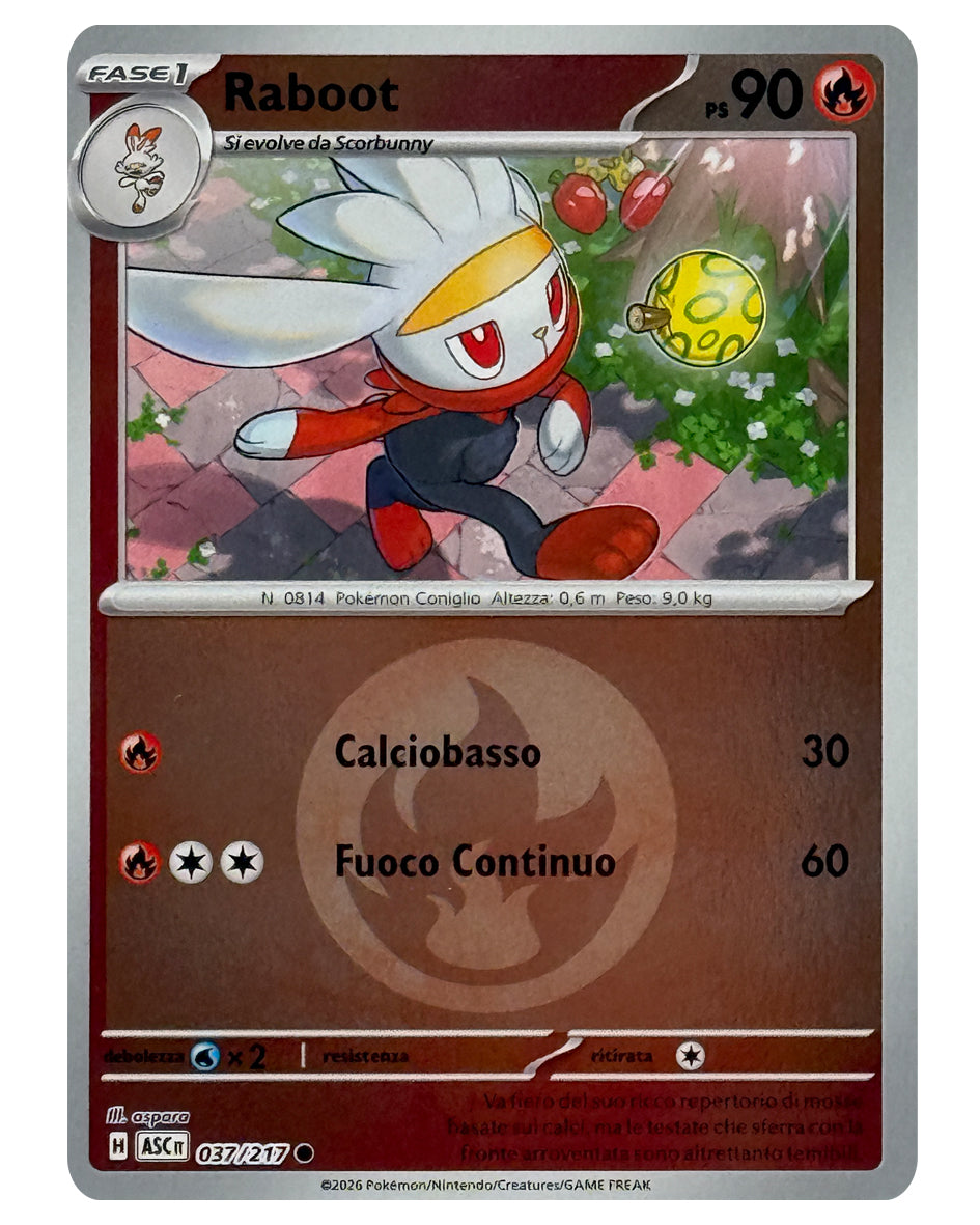 037-217 ASC Raboot 