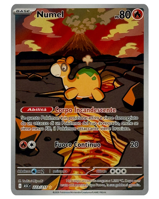 223-217 ASC Numel