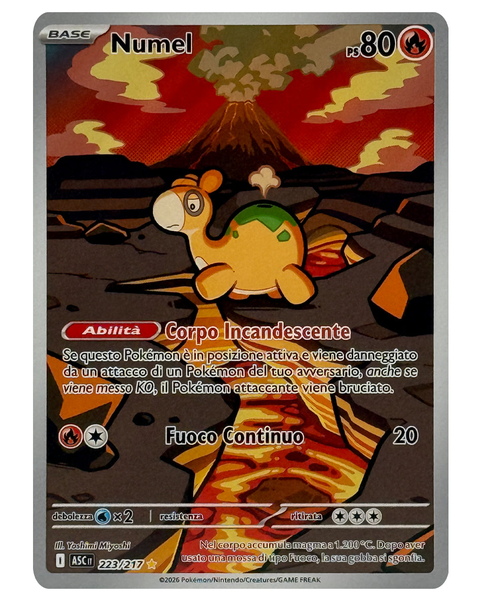 223-217 ASC Numel