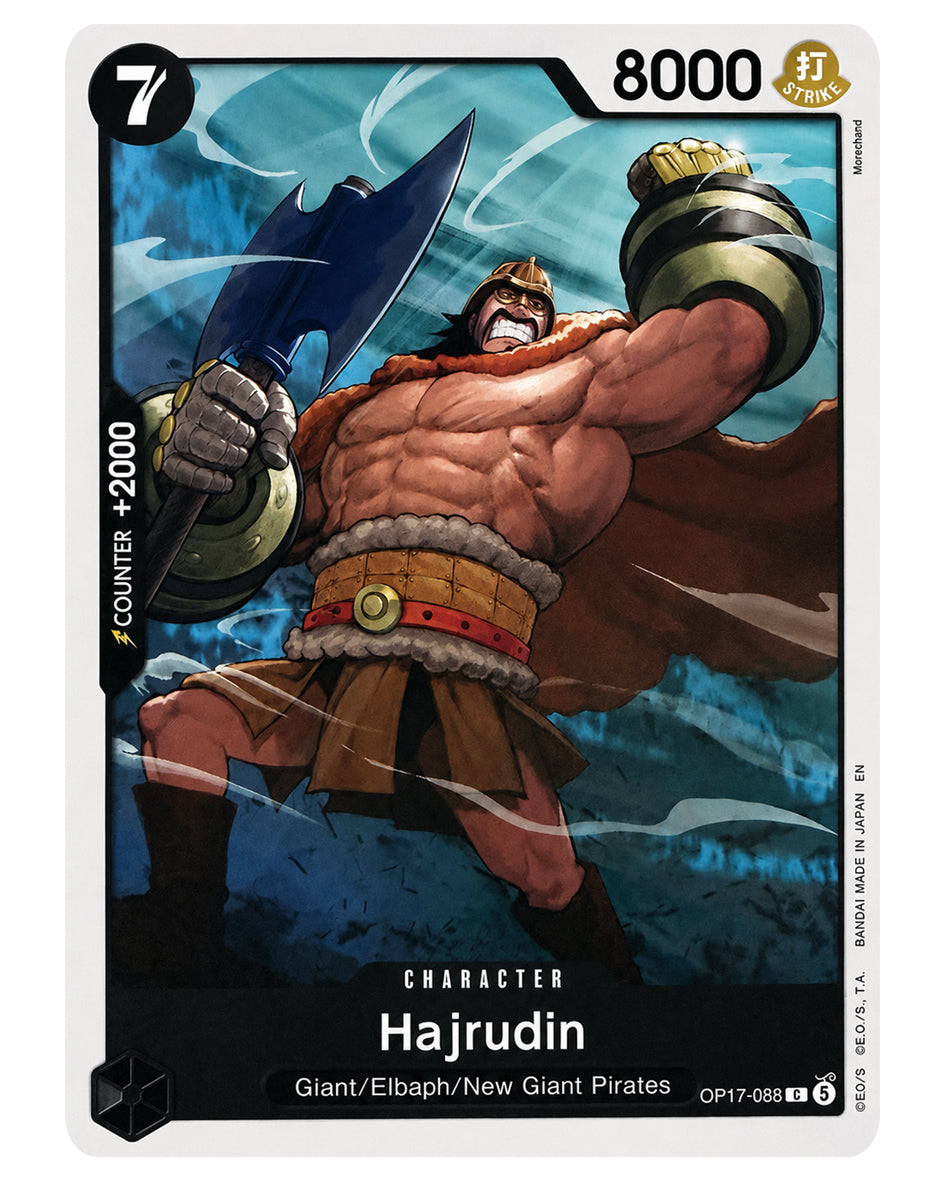 OP17-088 C Hajrudin V.1 - ENGLISH